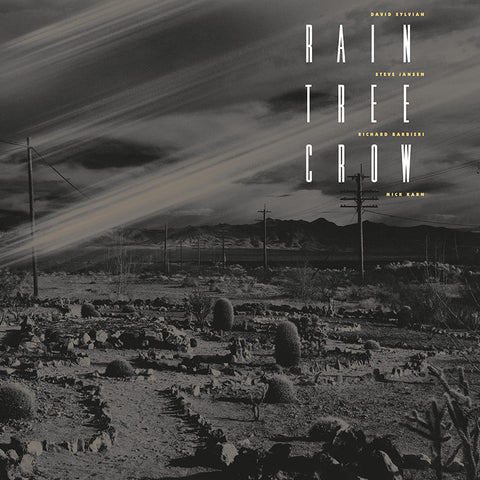 Rain Tree Crow - s/t (CD)