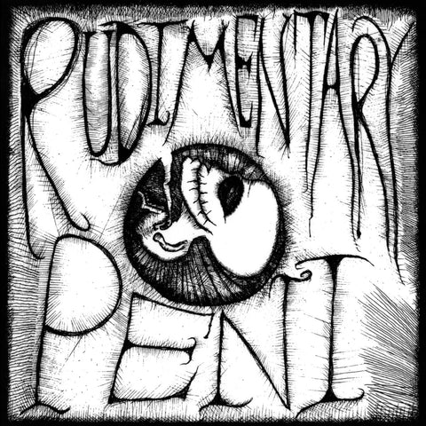 Rudimentary Peni - s/t (7")