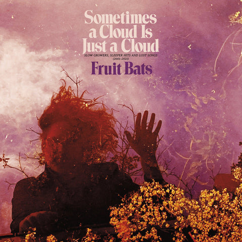 Fruit Bats - Sometimes a Cloud Is Just a Cloud: Slow Growers, Sleeper Hits, and Lost Songs (2001-2021) (2xLP, pink and violet swirl vinyl)