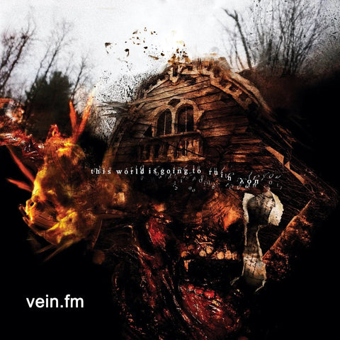 Vein.fm - This World Is Going To Ruin You (LP, light orange with yellow galaxy vinyl)
