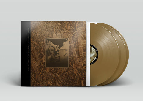 Pixies - Come On Pilgrim... It's Surfer Rosa (3xLP, Wide Spine Gold Vinyl)